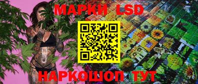 меф Краснознаменск