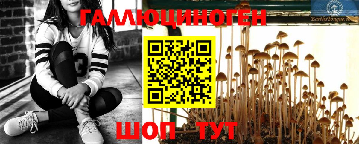 Галлюциногенные грибы Cubensis Киров